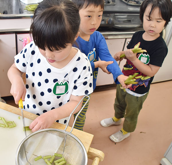 お料理